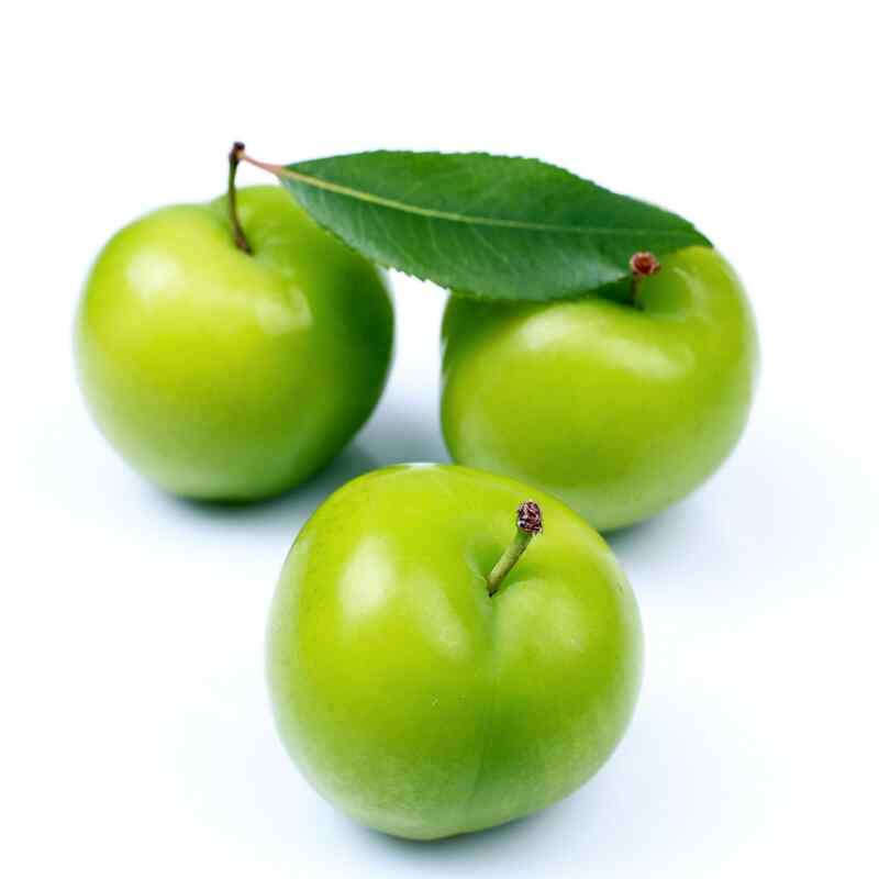 ალუჩა