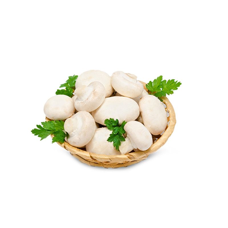 სოკო ქამა 500გრ/2104213000005