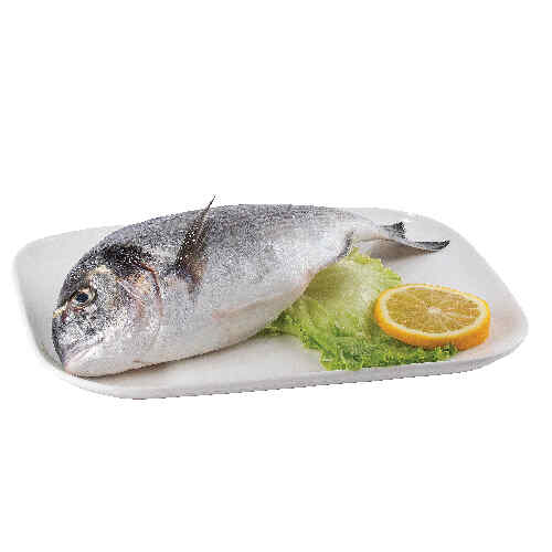 თევზი სიბრიმი Sea bream 400/600 /500.00გრ