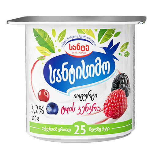 სანტისიმო იოგურტი ერკა ტყის კენკრა 110 გ/4860051007702