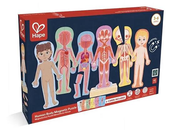 Hape- ადამიანის სხეულის მაგნიტური ფაზლი