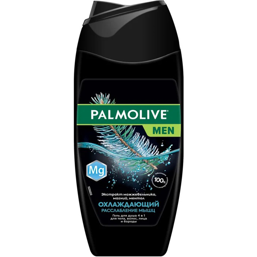 PALMOLIVE 4in1 მამაკაცის შხაპის გელ-შამპუნი 250 მლ (პალმოლივი)