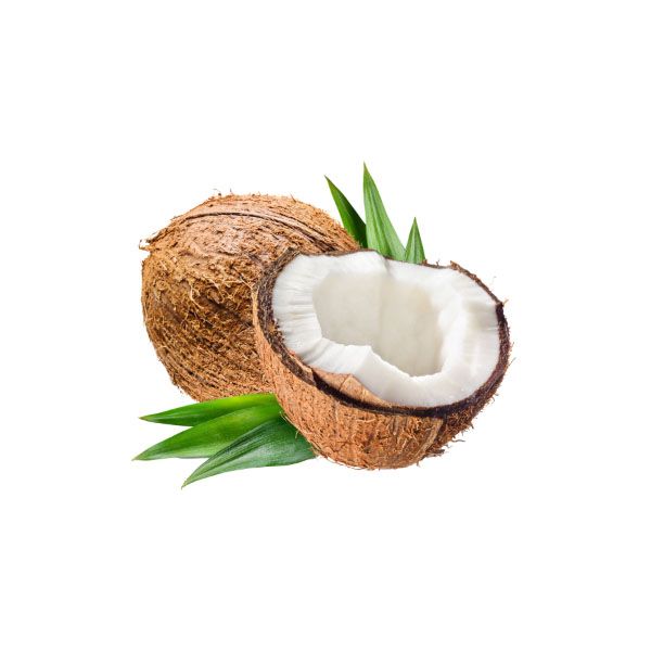 ქოქოსი 1ც იმპ