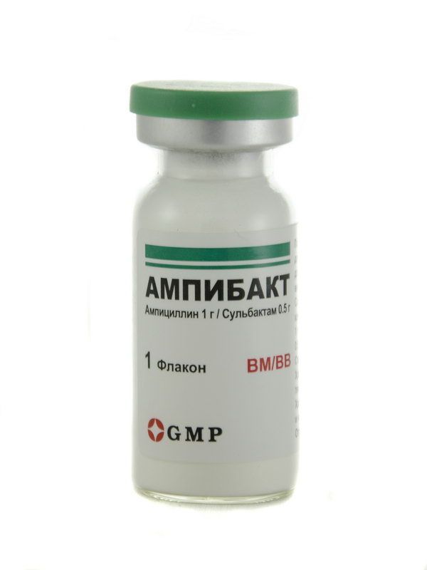 ამპიბაქტი - Ampibact 1.5გ 1 ფლაკონი